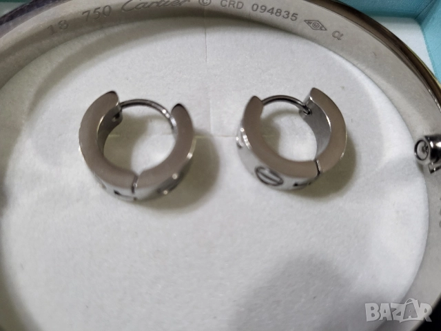 Гривна и обеци, снимка 2 - Гривни - 51482807