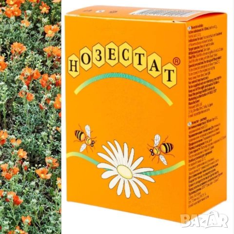 Нозестат, снимка 5 - За пчели - 31259391