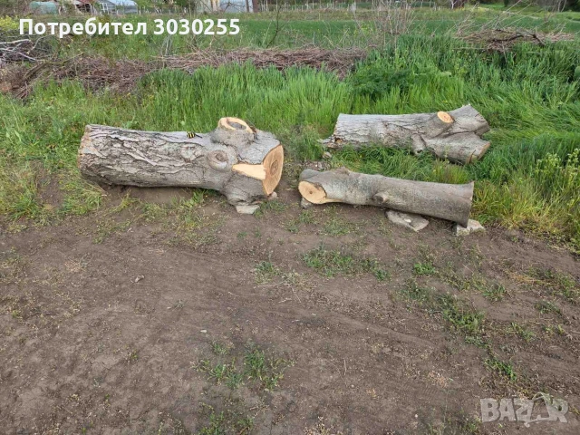 дървен материал 170см./70 см.