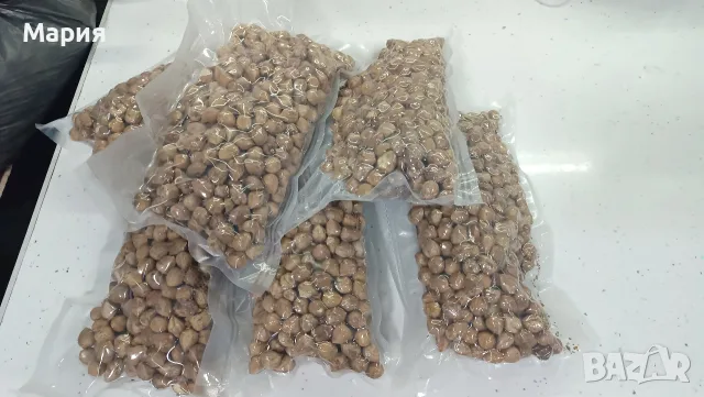 Био лешници ядки, снимка 2 - Домашни продукти - 56378542