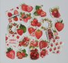 Скрапбук стикери Cute strawberries 23 бр /комплект , снимка 1