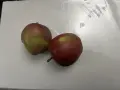 Продавам домашни ябълки, снимка 1
