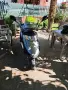 Продавам скутер kymco movie 125, снимка 6
