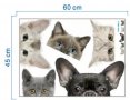 Куче коте глави самозалепващ стикер за стена прозорец автомобил кола мебел лепенка, снимка 2