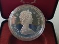 1 сребърен долар 1981 година Канада Елизабет II сребро в ТОП качество, снимка 5