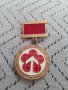 Стар медал,знак За високи резултати при внедряването на челния опит, снимка 2