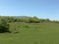 продавам два имота в село Лакатник , снимка 9