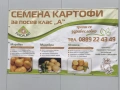 Семена картофи за посев клас А- произход Европлант , Германия , снимка 4