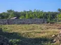 Продава къща Топола, снимка 10