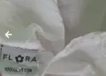 Дамски бели ризи Flora, снимка 4