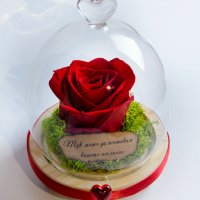 Вечна ЕСТЕСТВЕНА роза в Стъкленица / Интересен Подарък за Приятелка / Подарък за Годишнина, снимка 2 - Декорация за дома - 30923346
