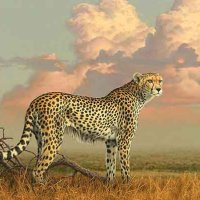 "Небето на саваната" - гепард, картина, снимка 1 - Картини - 44393428