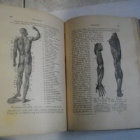 1913г-Антикварен Медицински Стар Учебник-"Platen-Die Neue Hellmethod"-Отличен, снимка 12 - Антикварни и старинни предмети - 39469466