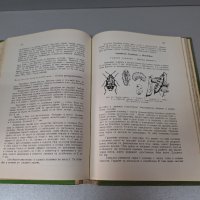 "Неприятели на зеленчуковите растения в България и борбата с тях", 1958г., снимка 4 - Специализирана литература - 42906759