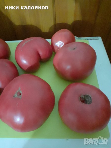 Био  розови домати  , снимка 1