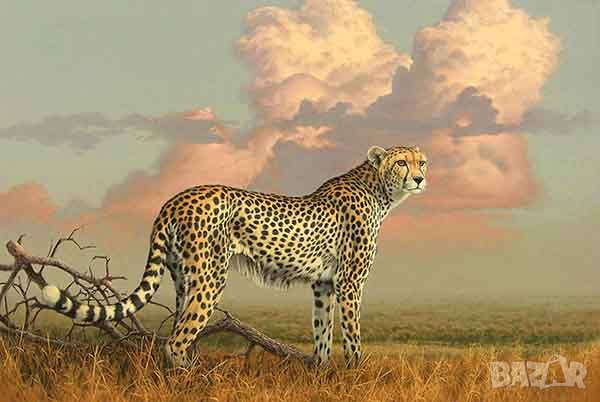 "Небето на саваната" - гепард, картина, снимка 1