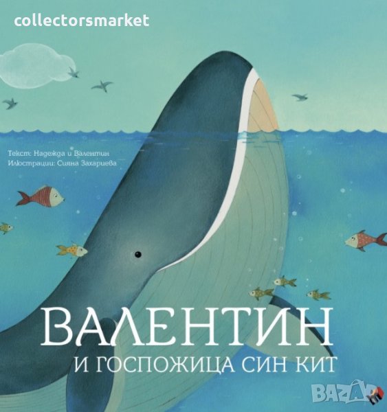 Валентин и Госпожица Син кит, снимка 1