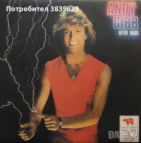 Продавам грамофонни плочи , снимка 6 - Грамофонни плочи - 53508628