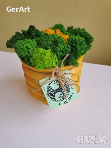Кашпа със скандинавски мъх, снимка 3 - Декорация за дома - 37545080