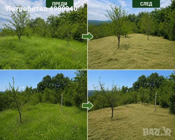 Почистване Дърводобив и Др, снимка 13 - Други - 56535230