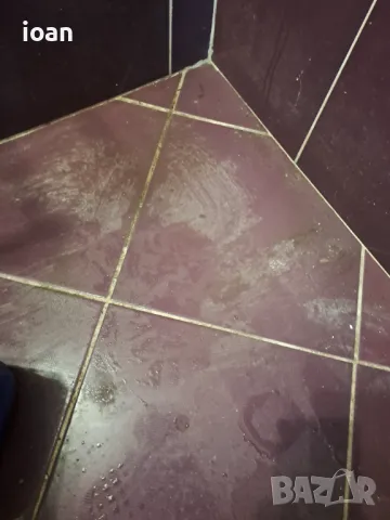 Професионално почистване. Дългогодишен опит в сферата., снимка 13 - Почистване на домове - 49854683