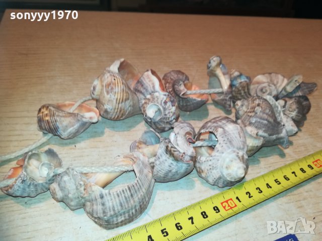 гердан от рапани 2811202032, снимка 4 - Колекции - 30944213