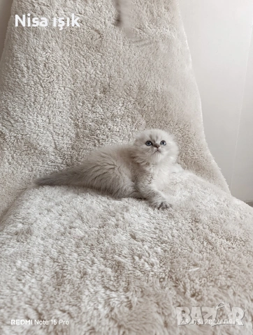 уникално момченце не е красив той е уникален в Хасково