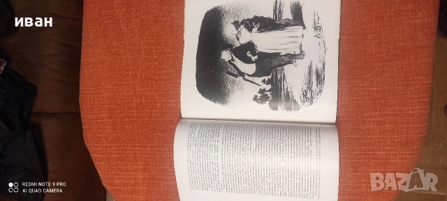 Домие, снимка 3 - Специализирана литература - 53037058