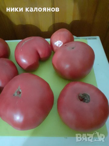 Био  розови домати  , снимка 1 - Домашни продукти - 42303193