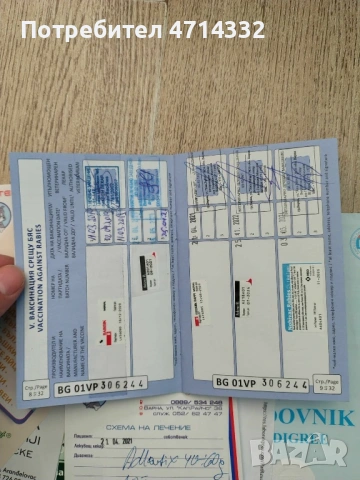 Продавам мъжки и женски кученца, снимка 9 - Дого аржентино - 53163193