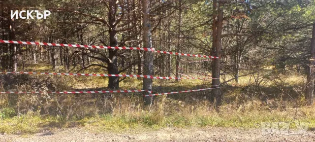 Продава парцел във в.з. Ярема, снимка 6 - Парцели - 47872331