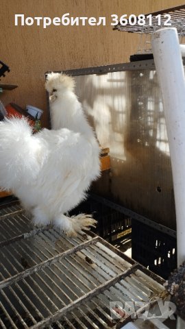 Продавам копринки