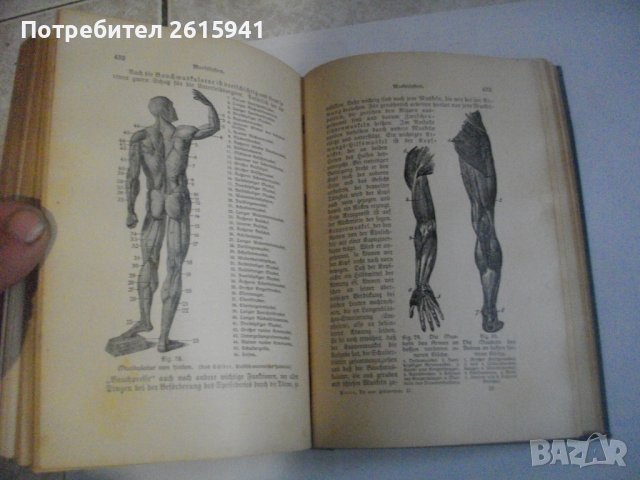 1913г-Антикварен Медицински Стар Учебник-"Platen-Die Neue Hellmethod"-Отличен, снимка 12 - Антикварни и старинни предмети - 39469466