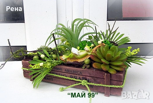 Сукуленти и тиландсия в дървено сандъче, снимка 3 - Декорация за дома - 53266543