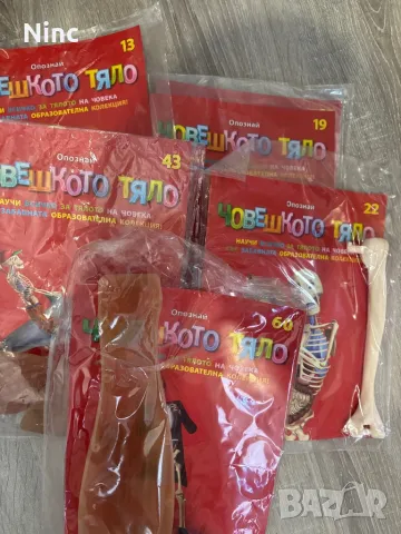 Човешкото тяло