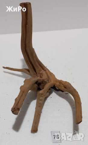 Корен от Азалия /декорация/ 78, снимка 3 - Други - 54102621