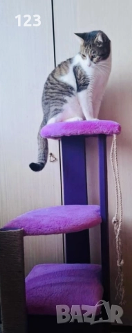 Катерушка, снимка 4 - За котки - 51620604