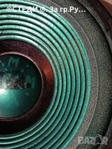 говорител (woofer) от марката Profi Sound. 12"инча , снимка 4 - Тонколони - 54183921