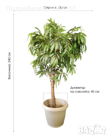 Изкуствени дръвчета , снимка 13 - Изкуствени цветя - 44702155