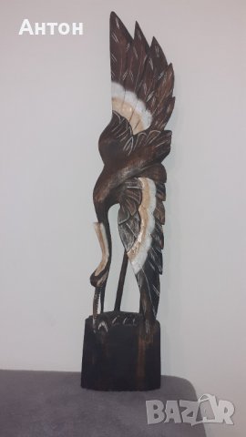 Африканска червена Чапла.