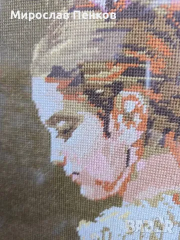 Гоблен, снимка 5 - Гоблени - 49425469