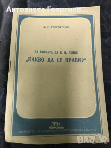 Какво да се прави - за книгата на Ленин, снимка 1 - Художествена литература - 30381368