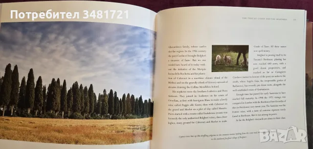 Tuscany and Its Wines, снимка 10 - Кулинария - 55817319