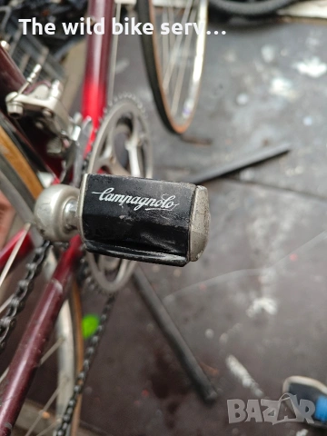 INTERNAZIONALE campagnolo, снимка 15 - Велосипеди - 53889406