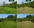 Почистване Дърводобив и Др, снимка 13