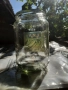 продавам буркани, снимка 5