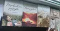 Книги - Никълъс Спаркс , снимка 4