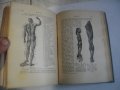 1913г-Антикварен Медицински Стар Учебник-"Platen-Die Neue Hellmethod"-Отличен, снимка 12