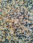 БИО Пчелен прашец от Сакар планина, снимка 8