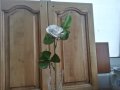 Порцеланова роза, снимка 7